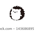 可愛的刺蝟插畫（黑白） 143686895