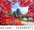 松本城（秋天） 143686971