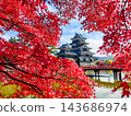 松本城（秋天） 143686974