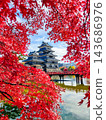 松本城（秋天） 143686976