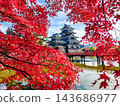 松本城（秋天） 143686977