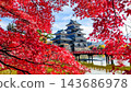松本城（秋天） 143686978