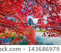 松本城（秋天） 143686979