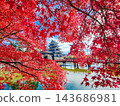 松本城（秋天） 143686981