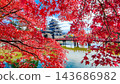 松本城（秋天） 143686982