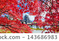 松本城（秋天） 143686983