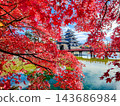 松本城（秋天） 143686984
