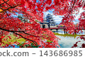 松本城（秋天） 143686985