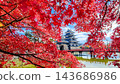 松本城（秋天） 143686986