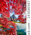 松本城（秋天） 143686987