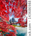 松本城（秋天） 143686988
