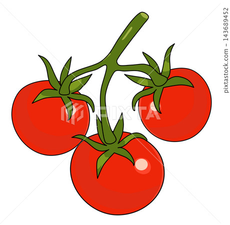 Three red tomatoes on vine branch fresh vegetable food element sticker print visual graphic clipart artwork design icon illustration Three red tomatoes on vine branch fresh vegetable food element sticker print visual graphic clipart artwork design icon illustration 143689452