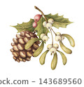 Watercolor botanical arrangement with mistletoe and pine cone. Vintage winter art shows realistic white and red berries. Natural christmas card design. Traditional graphic for holiday print or poster. 143689560