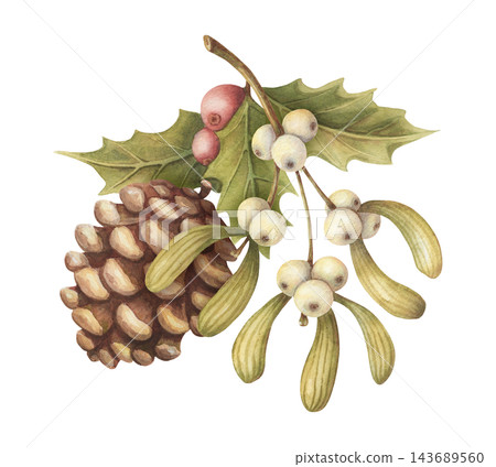 Watercolor botanical arrangement with mistletoe and pine cone. Vintage winter art shows realistic white and red berries. Natural christmas card design. Traditional graphic for holiday print or poster. 143689560