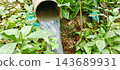 Water flowing from pipe into green plants 143689931