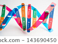 DNA molecule spiral structure model isolated on white background, chromosome and gene chemical science biology. 143690450