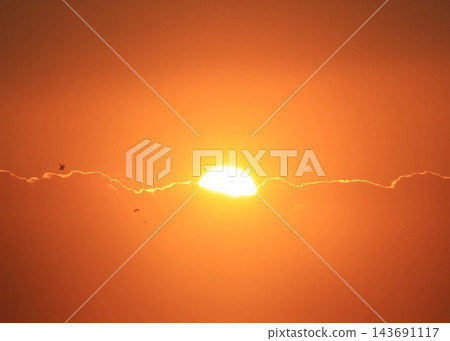 向著太陽 向著太陽 143691117