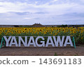 Yanagawa sunflower garden 143691183