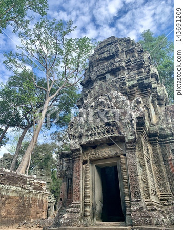 柬埔寨世界遺產地的入口，以及藍天下的樹木 143691209
