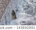 Salmon swimming upstream jumping Salmon swimming upstream jumping 143692891