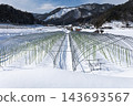 Snow-covered agricultural greenhouses and a winter mountain village landscape. 143693567