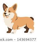 Cute Welsh Corgi Puppy Dog Vector Illustration 143694377