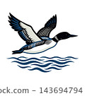 Common Loon Bird Flying Over Water Illustration Design 143694794
