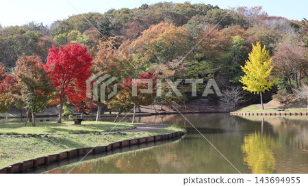秋葉倒映在池塘中－笠間市北山公園 143694955