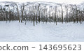 Winter forest panorama with snow-covered birch and pine trees under cold morning light. Snow blankets the ground and branches, creating a peaceful, frosty atmosphere 143695623