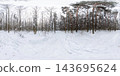 360-degree panorama of a snowy mixed forest in winter. Birch and pine trees covered with fresh snow on a frosty cold day, creating a calm and peaceful natural atmosphere 143695624