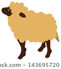 A full-body illustration of a fluffy yellow sheep with a brown face and legs. A full-body illustration of a fluffy yellow sheep with a brown face and legs. 143695720