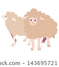 A full-body illustration of two fluffy sheep, one facing forward and the other sideways. A full-body illustration of two fluffy sheep, one facing forward and the other sideways. 143695721