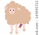 A full-body illustration of a fluffy beige sheep standing facing forward. A full-body illustration of a fluffy beige sheep standing facing forward. 143695722