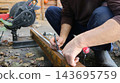 A worker makes a mark with a black marker on a rusty metal profile pipe, measuring its length with a tape measure. The workpiece is being prepared for cutting with a chop saw, outdoors in the yard. 143695759