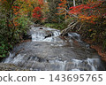 The Larumanai Falls in Eniwa Valley, Hokkaido, adorned with autumn foliage. 143695765