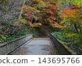 Autumn foliage walking trail leading to Rarumanai Falls in Eniwa Valley, Hokkaido 143695766