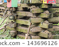 [Machida Squirrel Park: Squirrel Nests] 143696126