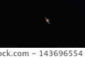 土星 143696554
