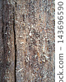 Weathered wood planks with peeling paint texture close up 143696590