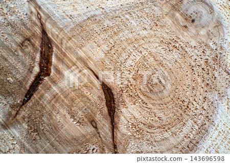 Wood log cut surface with tree rings, cracks, and grain close up Wood log cut surface with tree rings, cracks, and grain close up 143696598