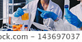 Medical or scientific researcher or man doctor looking at a test tube of clear solution in a laboratory 143697037