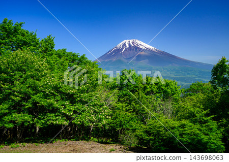 從黑嶽山頂眺望富士山。 從黑嶽山頂眺望富士山。 143698063