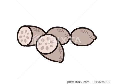 Simple illustration of a vegetable: lotus root Simple illustration of a vegetable: lotus root 143698099