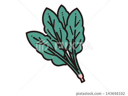 Simple illustration of a vegetable: spinach Simple illustration of a vegetable: spinach 143698102