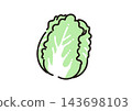 蔬菜簡圖：大白菜 143698103