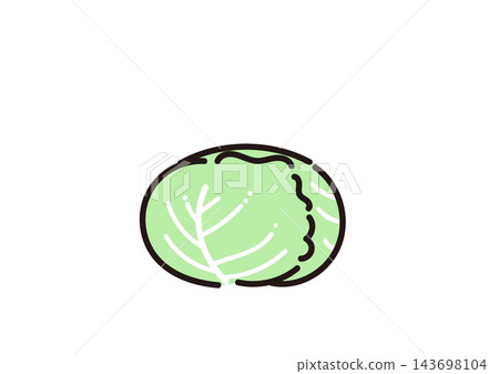 Simple vegetable illustration: Cabbage 143698104