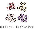 簡單的蔬菜插圖：豆類 143698494