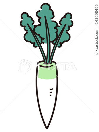 簡單的蔬菜插圖:蘿蔔 簡單的蔬菜插圖:蘿蔔 143698496