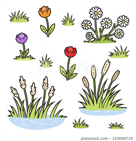 Vector illustration set of flowers and plants, such as daisies, roses or poppies, and aquatic flowers 143698729