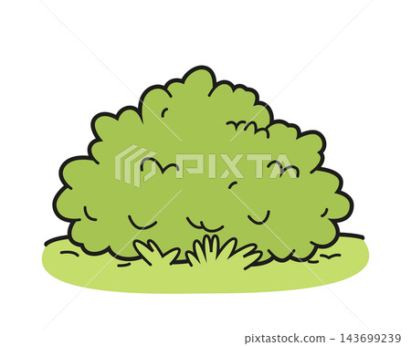 Vector illustration of a green bush in a cartoon, outlined style, isolated on white background Vector illustration of a green bush in a cartoon, outlined style, isolated on white background 143699239
